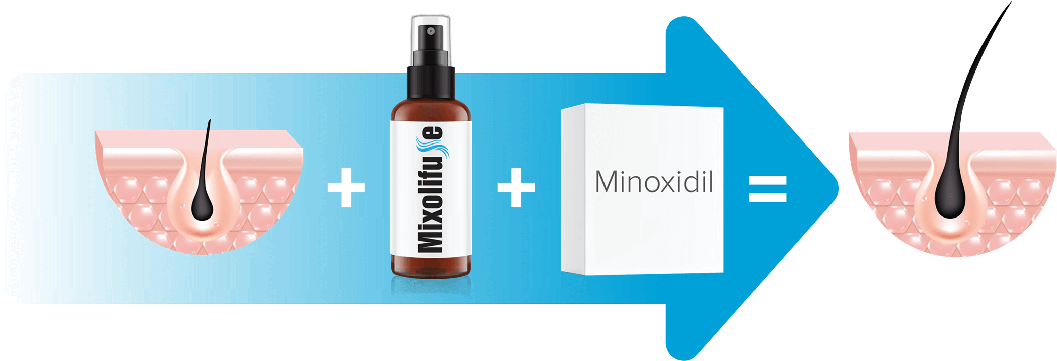 Enzyme enhancement diagram